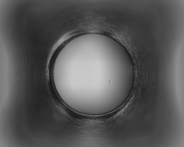 X0000086940246200704161041