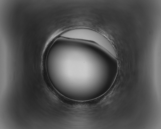 X0000086940248200704161041