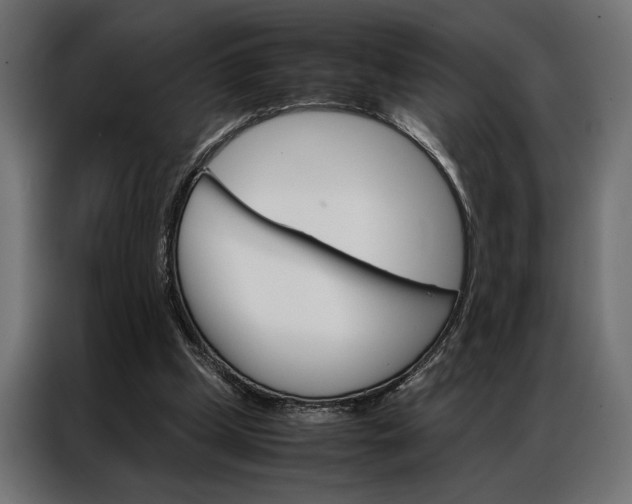 X0000086940249200704161041
