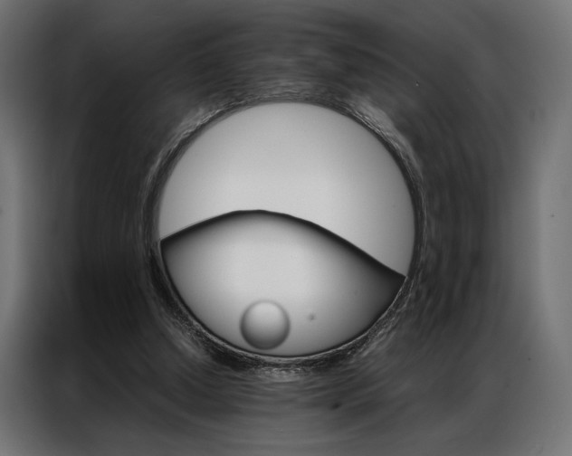 X0000086940250200704161041