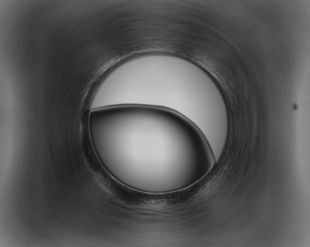 X0000086940252200704161041