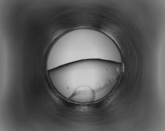 X0000086940253200704161041