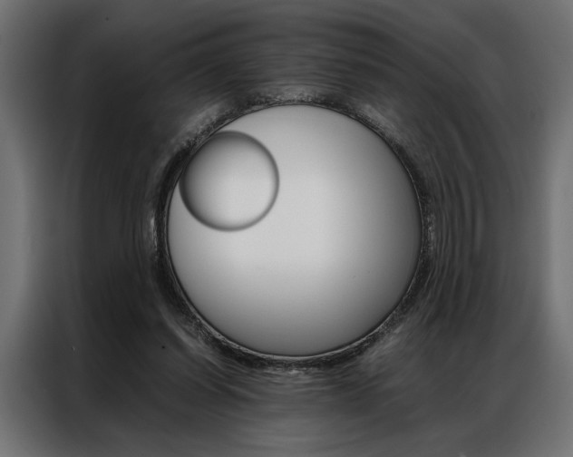 X0000086940254200704161041