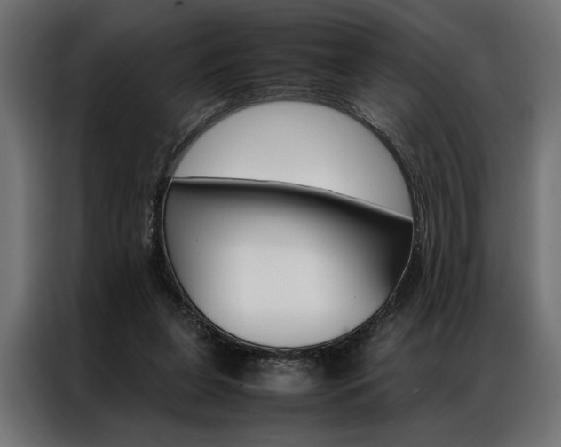 X0000086940255200704161041
