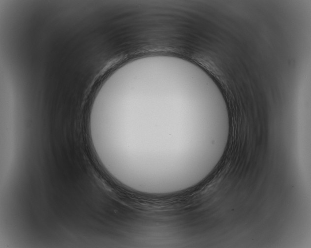 X0000086940256200704161041