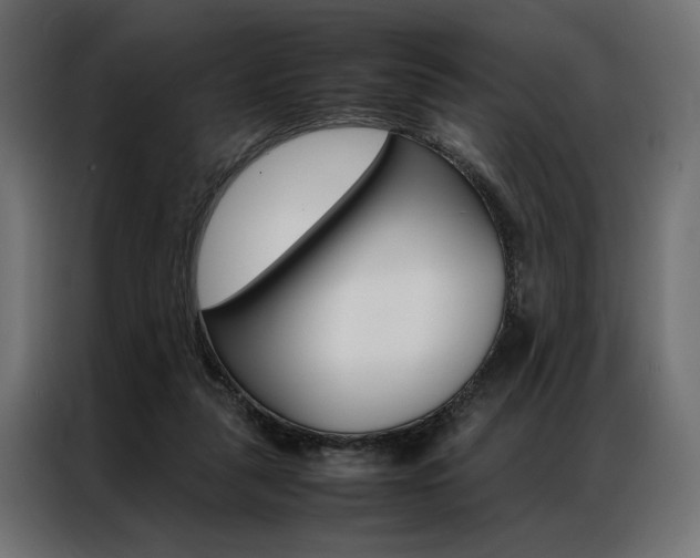 X0000086940259200704161041