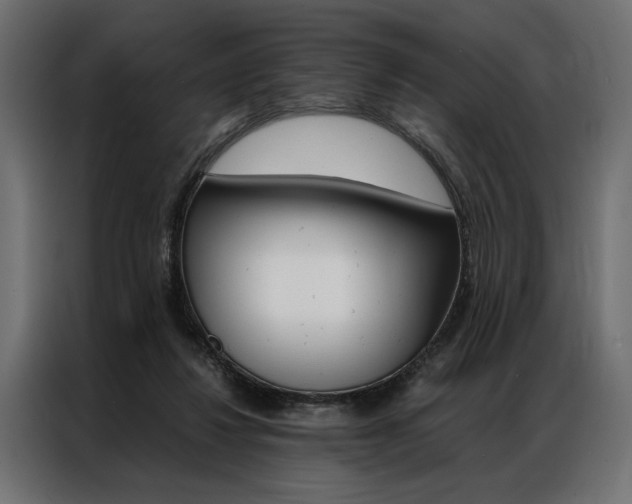X0000086940260200704161041