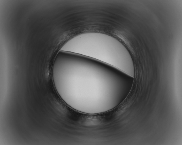 X0000086940261200704161041