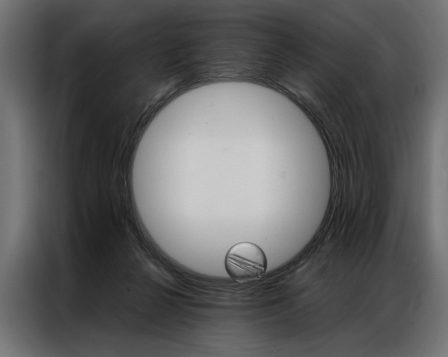 X0000086940264200704161041