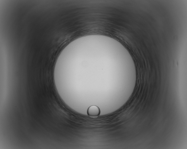 X0000086940268200704161041
