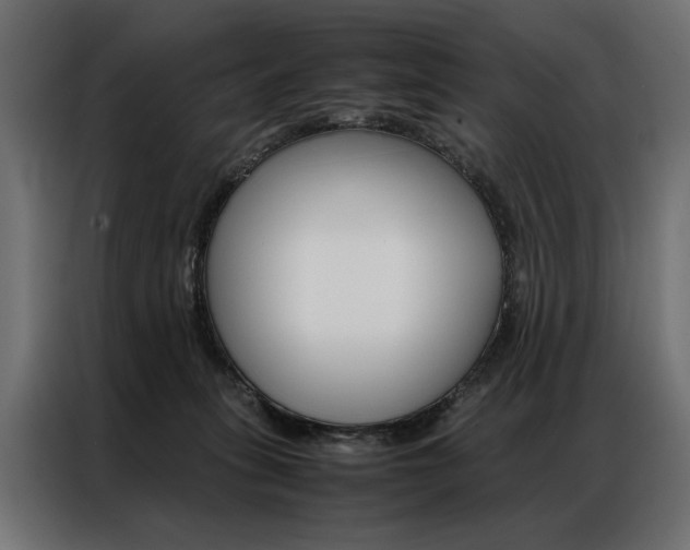 X0000086940275200704161041