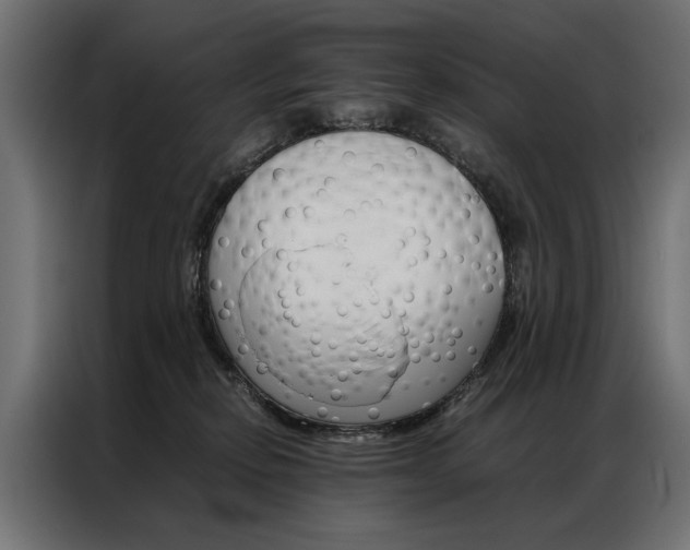 X0000086940278200704161042