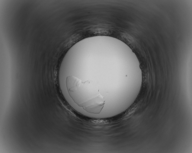 X0000086940281200704161042