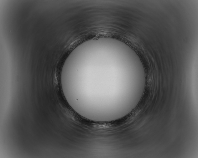 X0000086940282200704161042