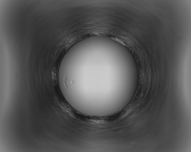 X0000086940284200704161042