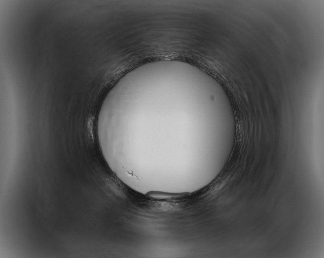 X0000086940286200704161042