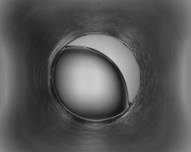 X0000086940293200704161041