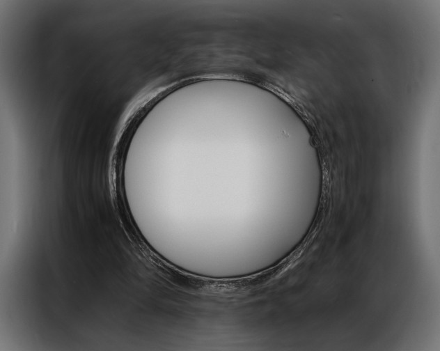 X0000086940294200704161041