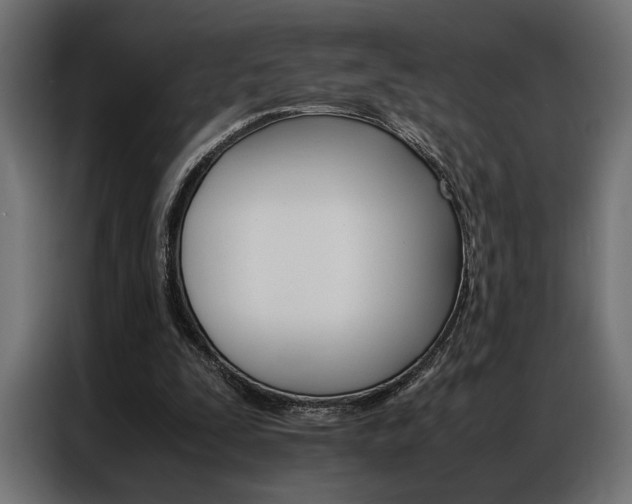 X0000086940295200704161041