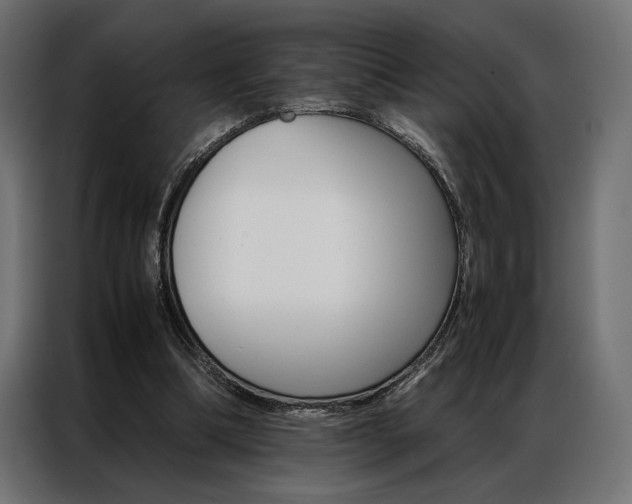 X0000086940298200704161041