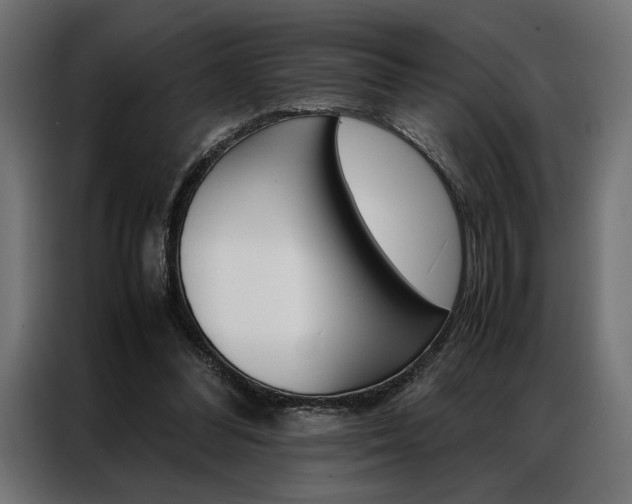 X0000086940300200704161041