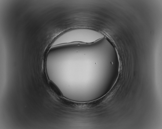 X0000086940301200704161041