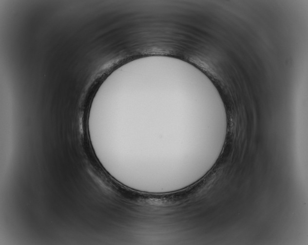 X0000086940302200704161041