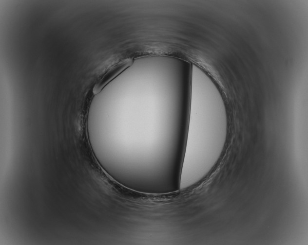X0000086940305200704161041