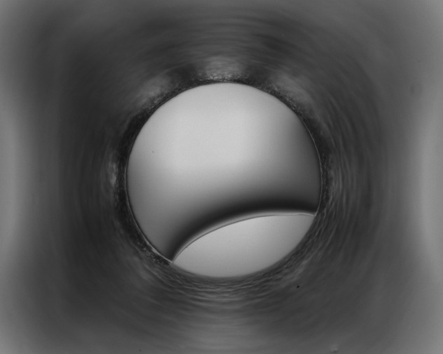 X0000086940308200704161041