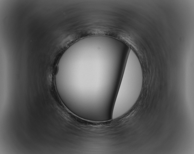 X0000086940309200704161041