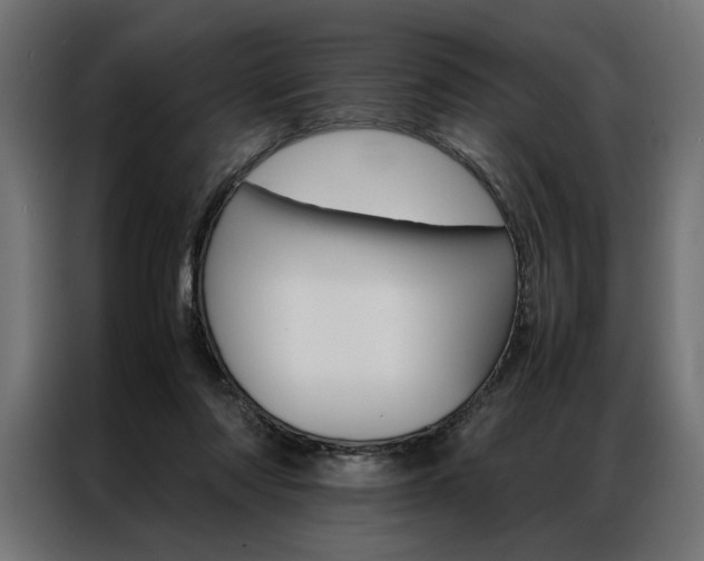 X0000086940310200704161041