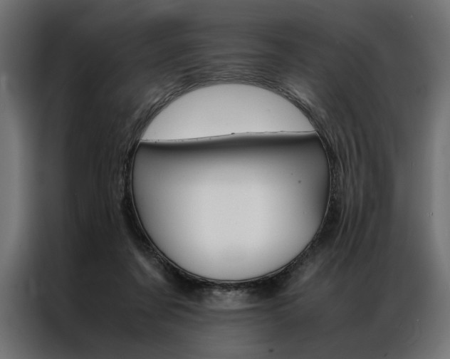 X0000086940311200704161041