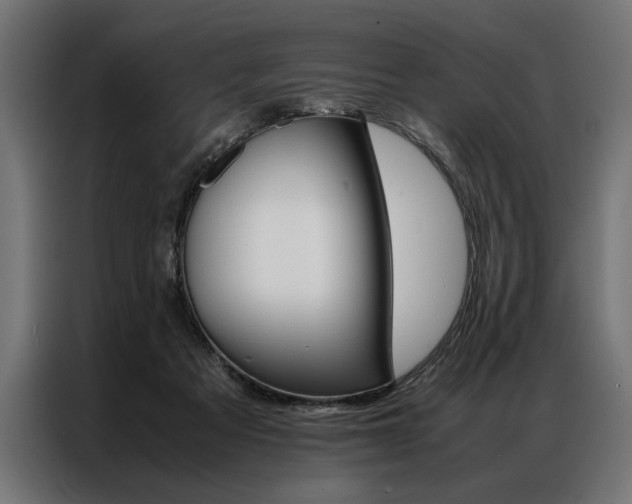 X0000086940313200704161041