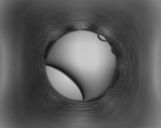X0000086940315200704161041