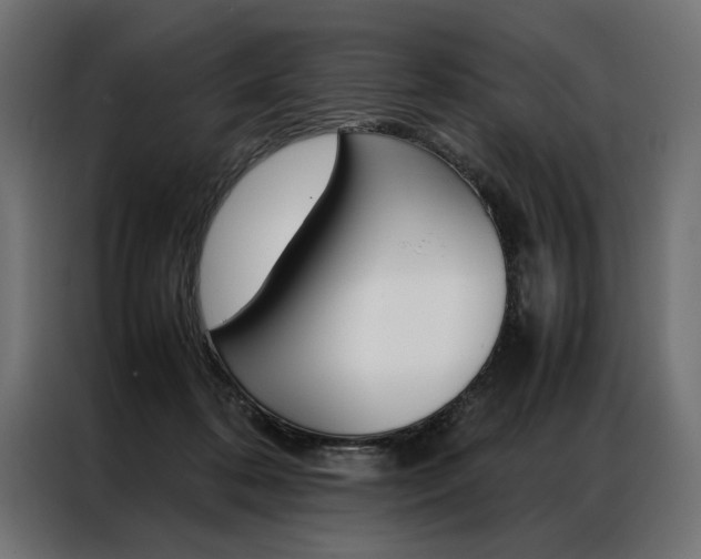 X0000086940316200704161041