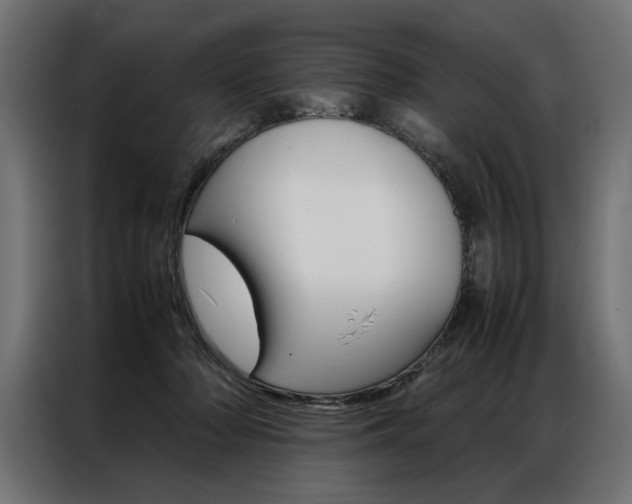 X0000086940318200704161041