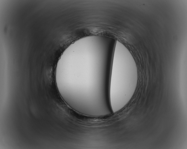 X0000086940319200704161041
