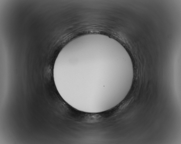 X0000086940321200704161041