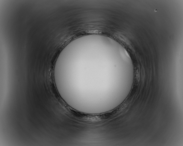 X0000086940322200704161041