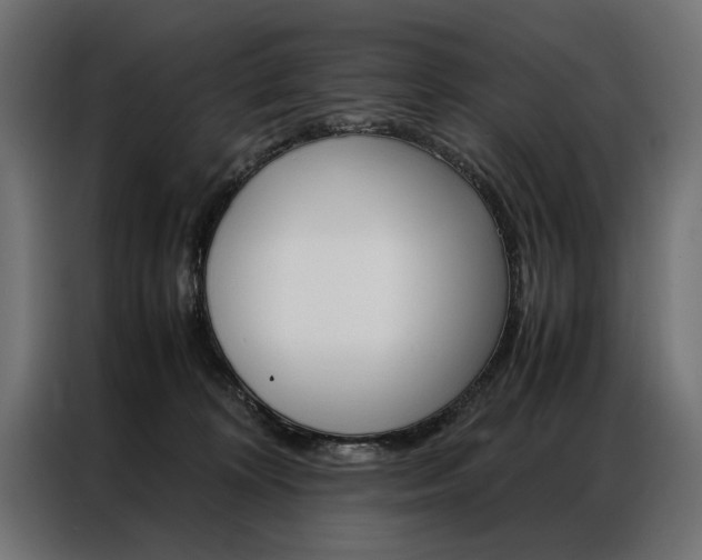 X0000086940324200704161041