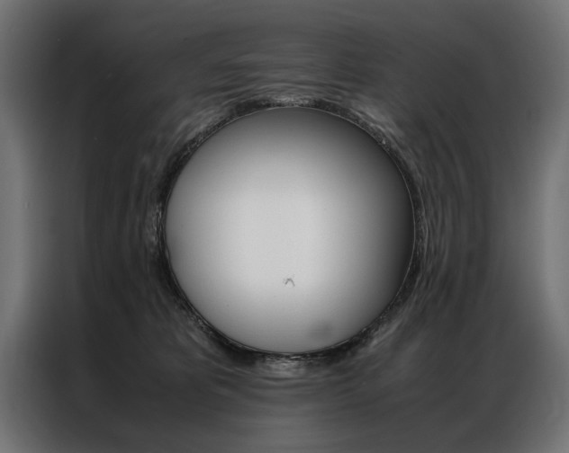X0000086940325200704161040