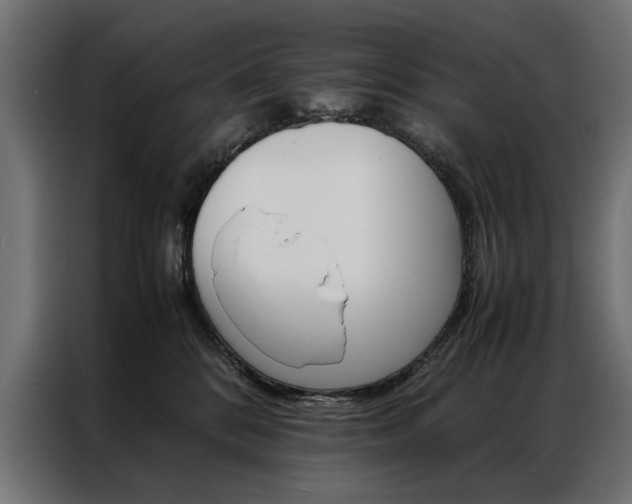 X0000086940328200704161040
