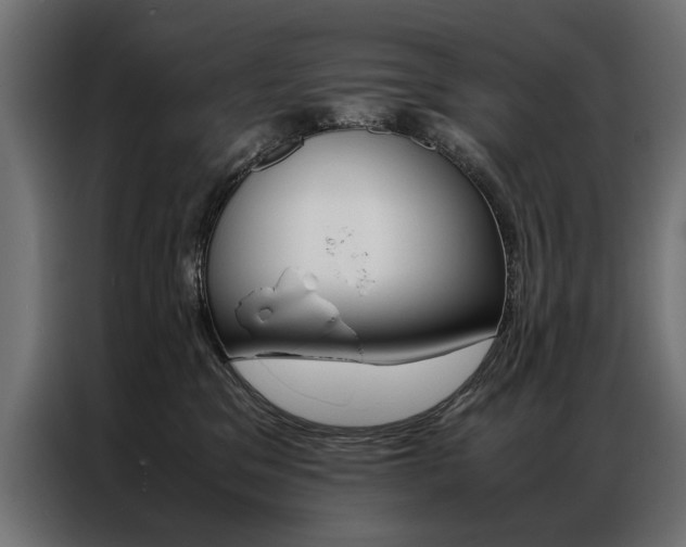 X0000086940329200704161040