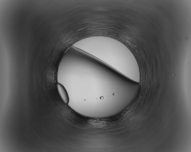 X0000086940331200704161040