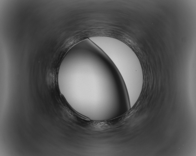 X0000086940333200704161040