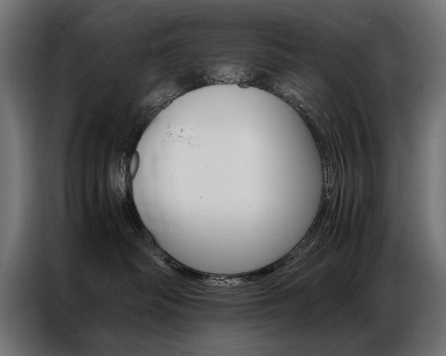 X0000086940334200704161040