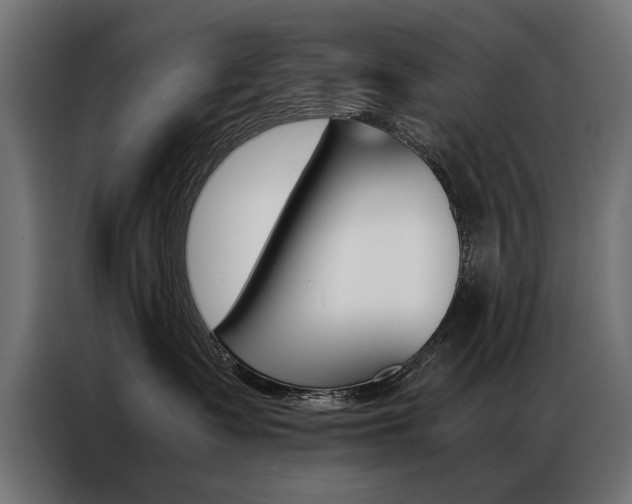 X0000086940335200704161040