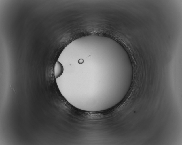 X0000086940336200704161040
