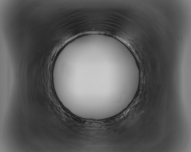 X0000086940337200704161040
