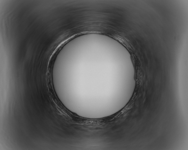 X0000086940338200704161040